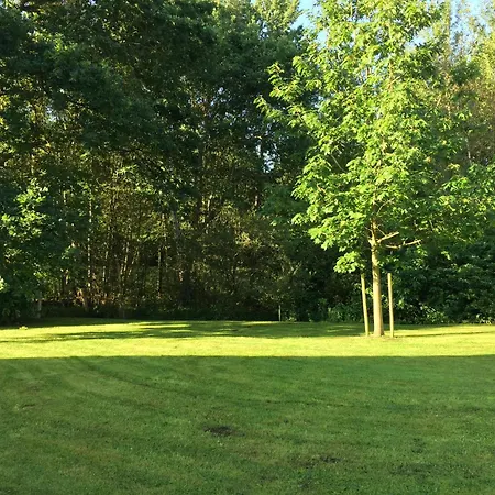 Schwalbennest